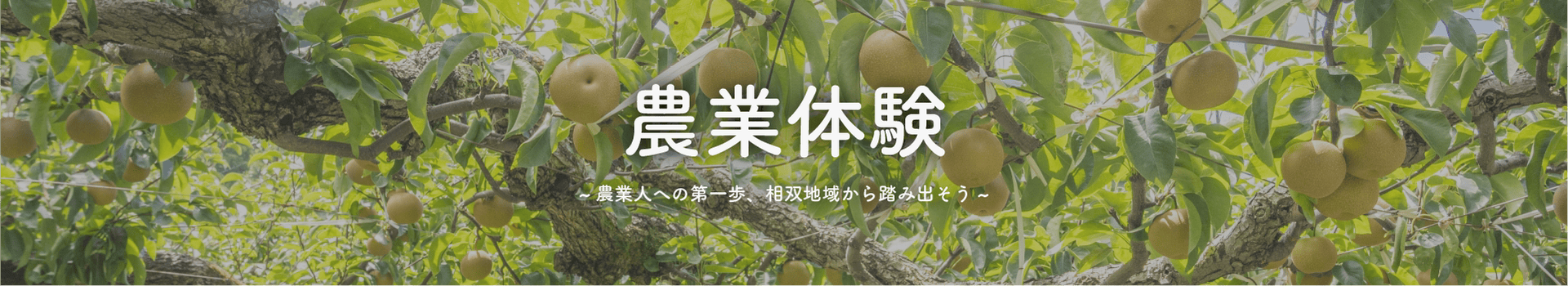 農業への第一歩、相双地域から踏み出そう