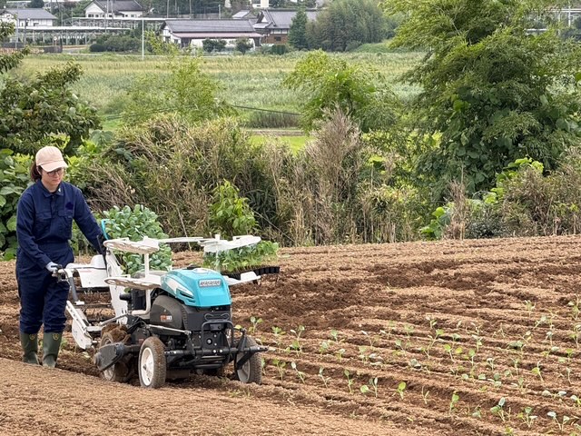 短期農業体験で、ブロッコリーの苗を植える機械を操作する様子